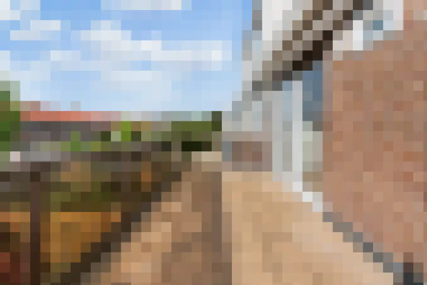 Kastanjesingel 95 A Rotterdam thumbnail 14