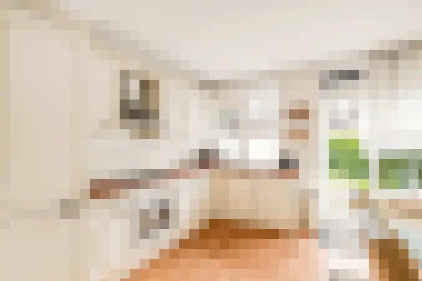 Kastanjesingel 98 C Rotterdam thumbnail 11