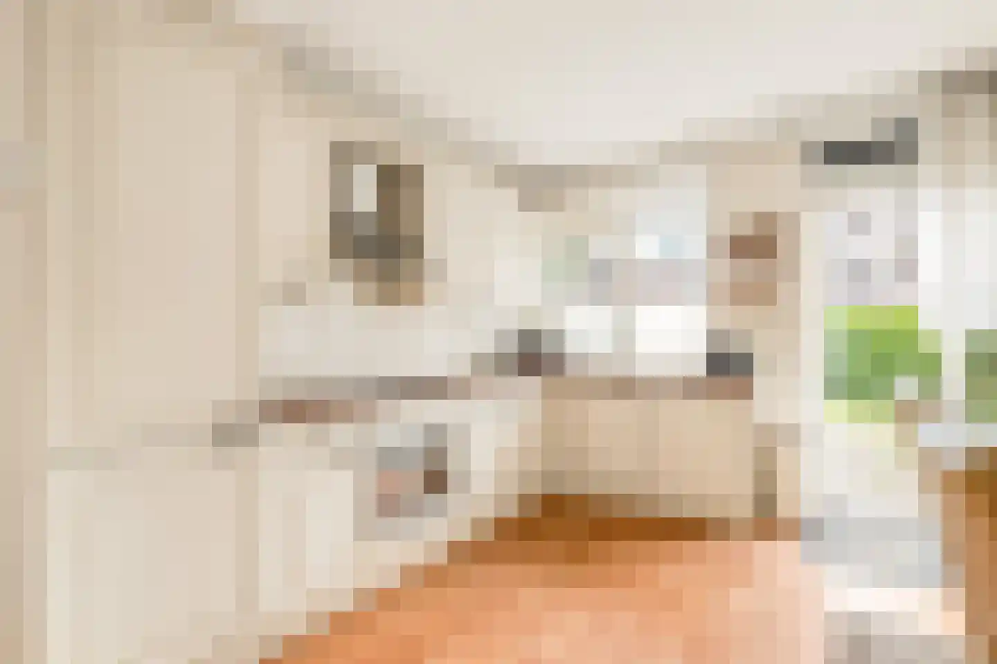 Kastanjesingel 98 C Rotterdam thumbnail 13