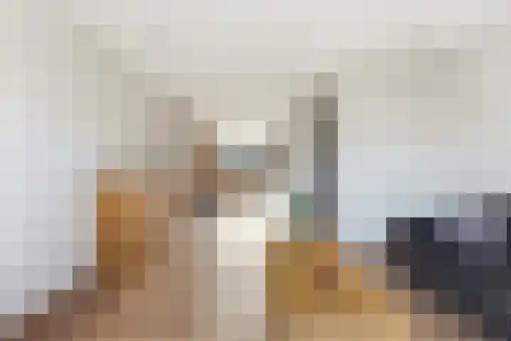 Kastanjesingel 98 C Rotterdam thumbnail 13
