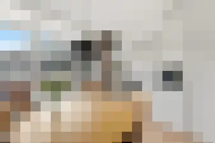 Kastanjesingel 98 C Rotterdam thumbnail 14