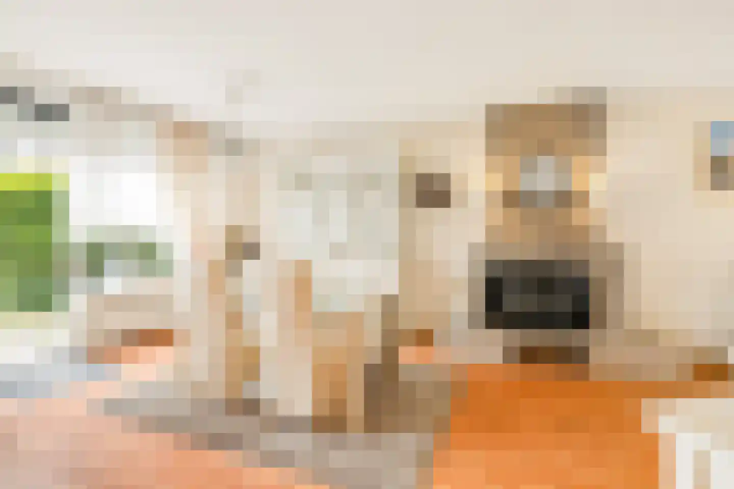 Kastanjesingel 98 C Rotterdam thumbnail 16