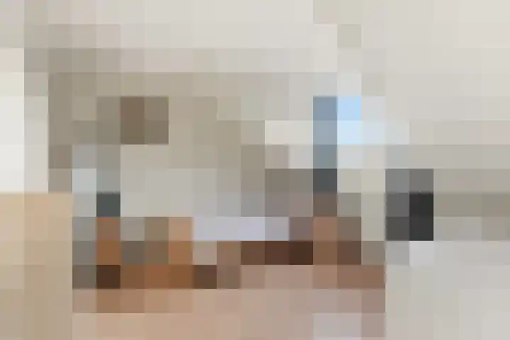 Kastanjesingel 98 C Rotterdam thumbnail 22