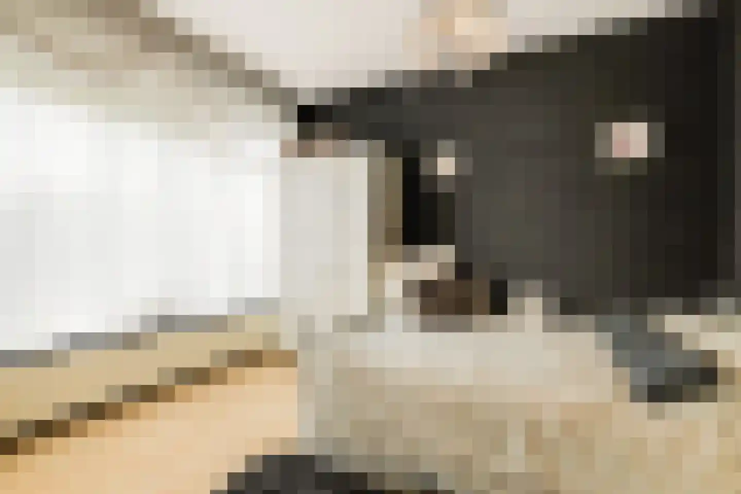 Kastanjesingel 98 C Rotterdam thumbnail 23