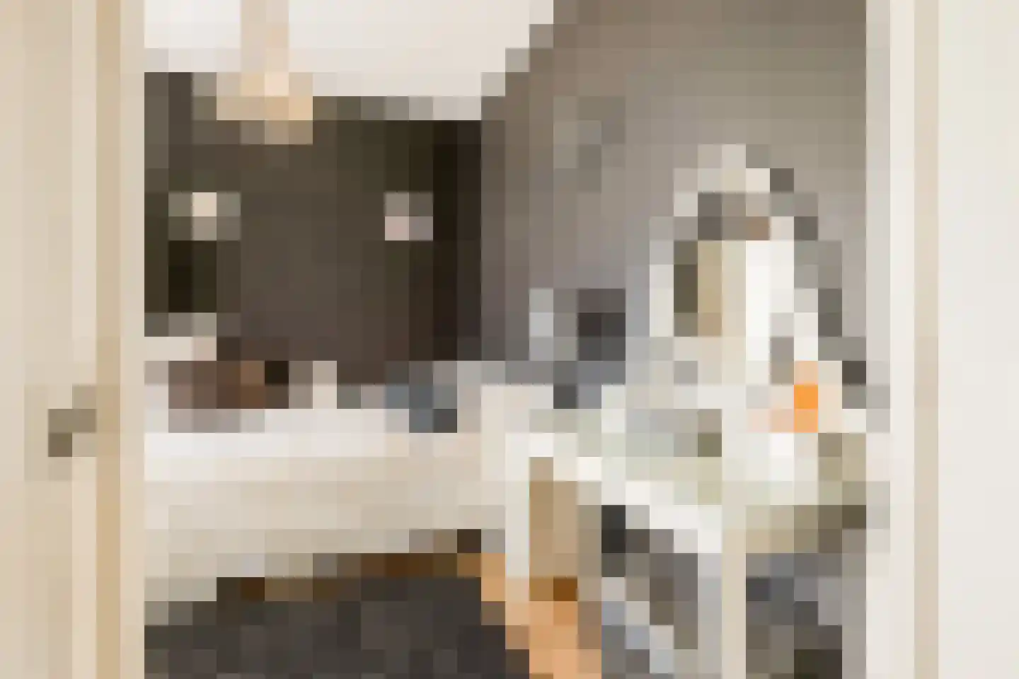 Kastanjesingel 98 C Rotterdam thumbnail 25