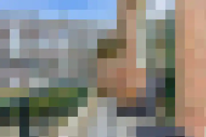 Kastanjesingel 98 C Rotterdam thumbnail 32