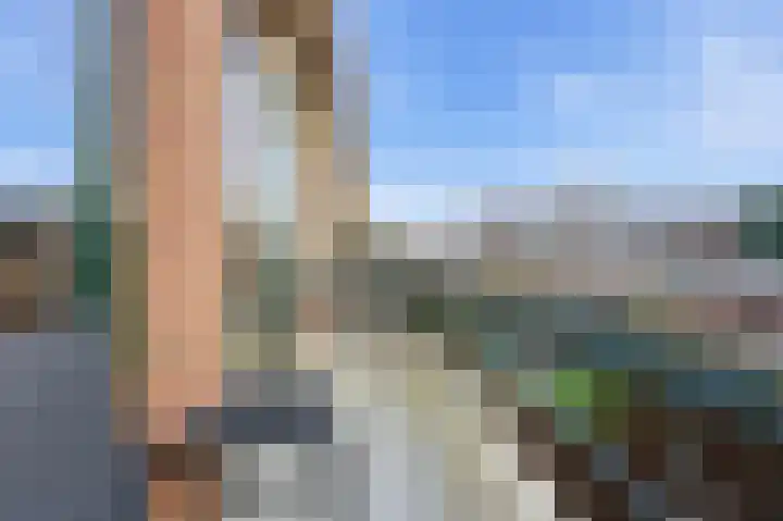 Kastanjesingel 98 C Rotterdam thumbnail 33
