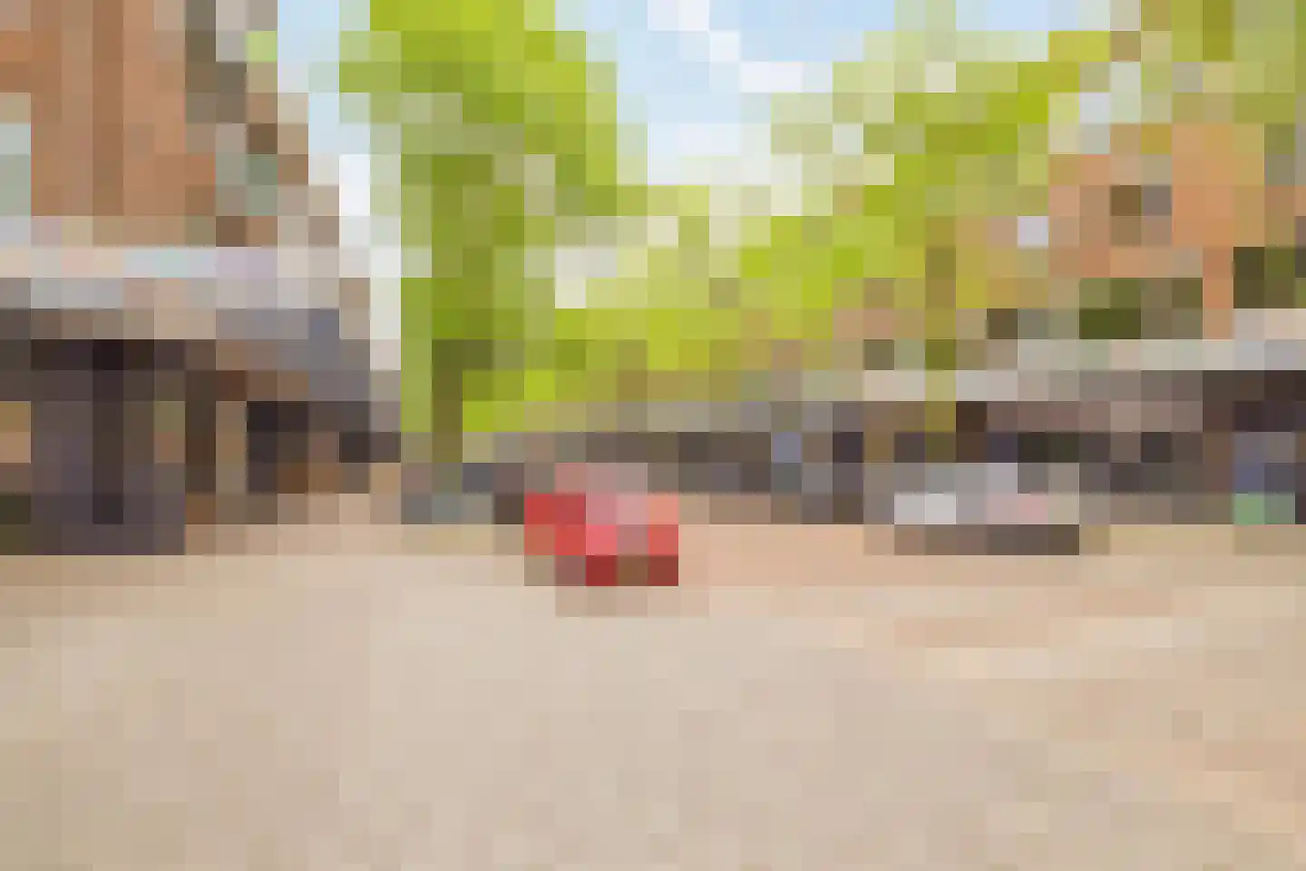 Kastanjesingel 98 C Rotterdam thumbnail 34