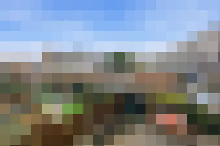 Kastanjesingel 98 C Rotterdam thumbnail 34