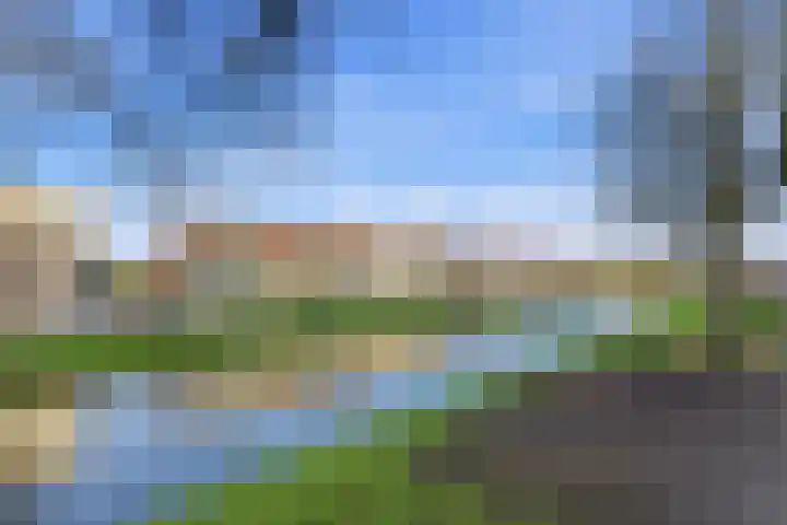 Kastanjesingel 98 C Rotterdam thumbnail 35