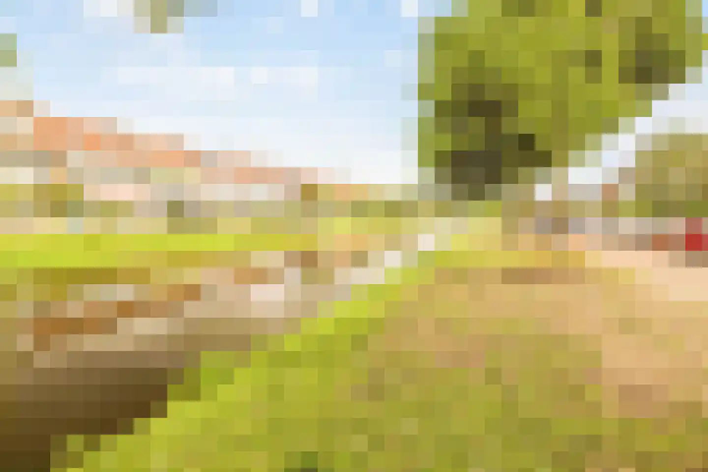 Kastanjesingel 98 C Rotterdam thumbnail 36