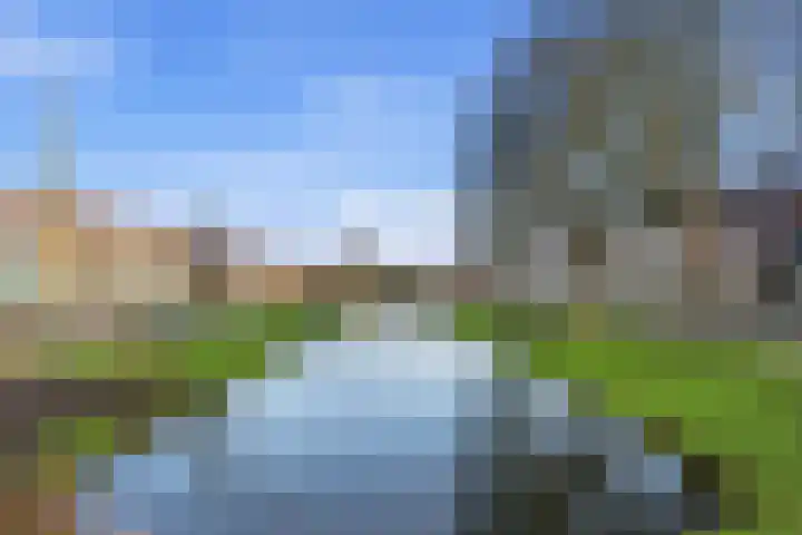 Kastanjesingel 98 C Rotterdam thumbnail 37