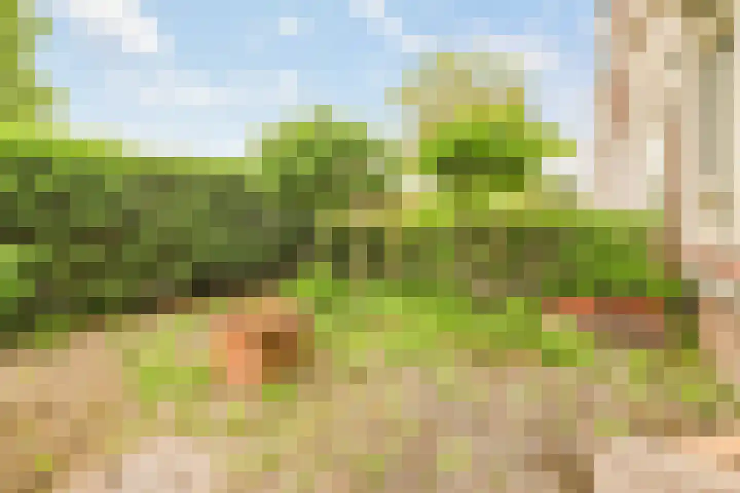 Kastanjesingel 98 C Rotterdam thumbnail 4