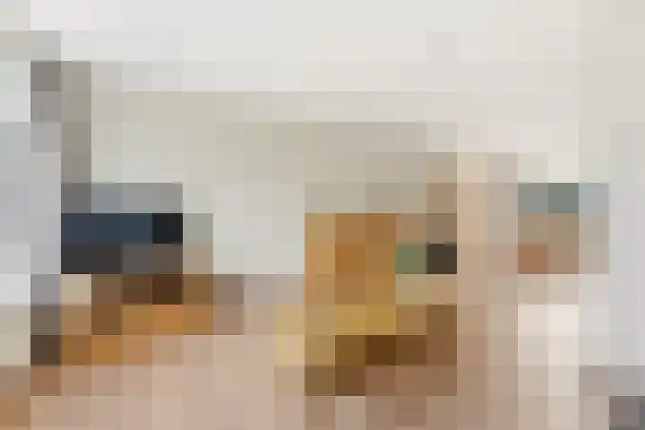 Kastanjesingel 98 C Rotterdam thumbnail 4