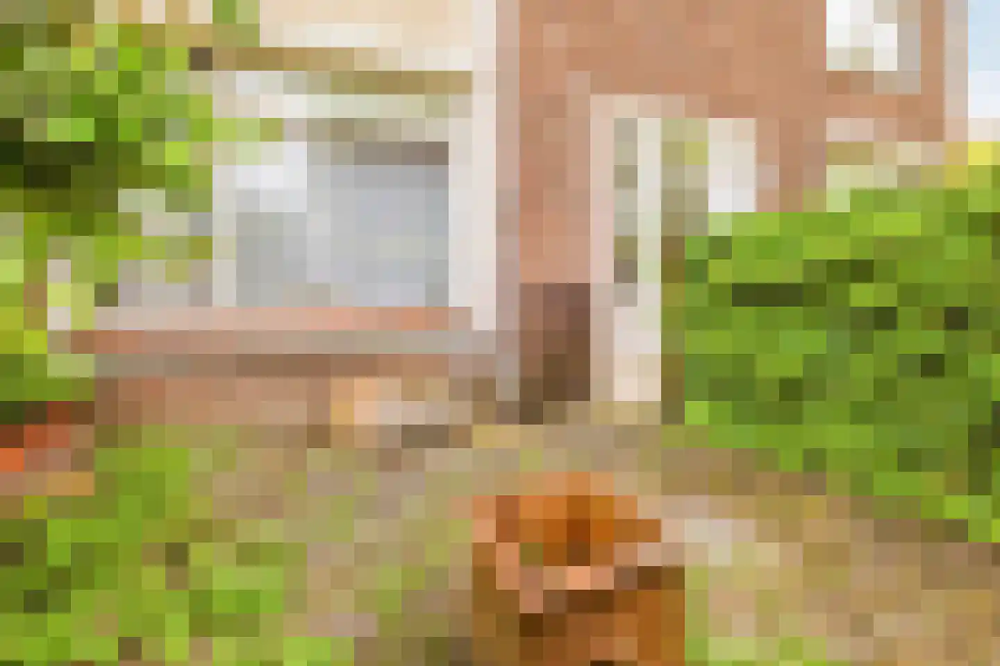 Kastanjesingel 98 C Rotterdam thumbnail 5