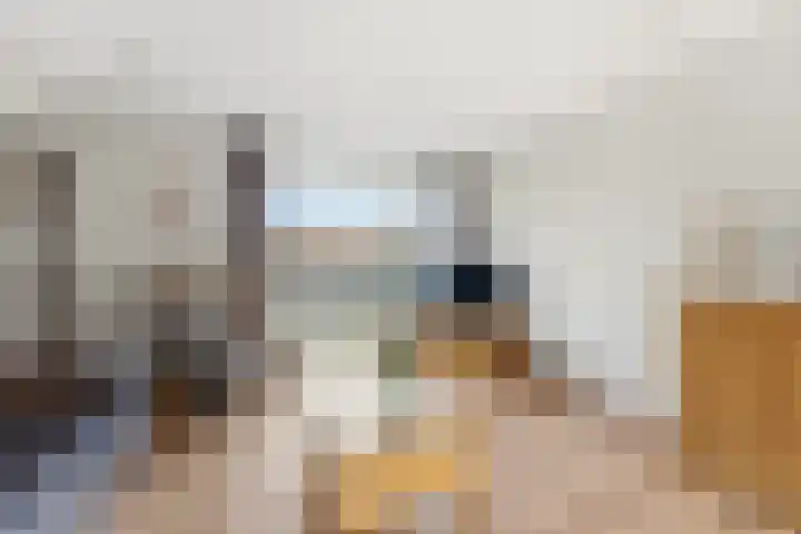 Kastanjesingel 98 C Rotterdam thumbnail 5