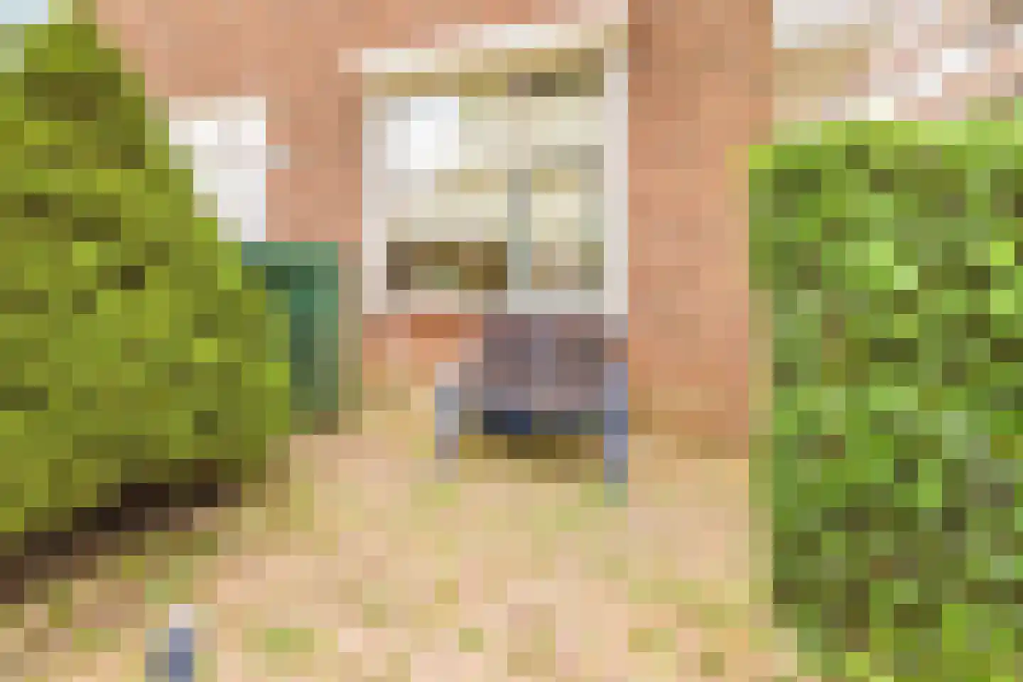 Kastanjesingel 98 C Rotterdam thumbnail 6