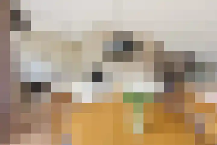 Kastanjesingel 98 C Rotterdam thumbnail 6