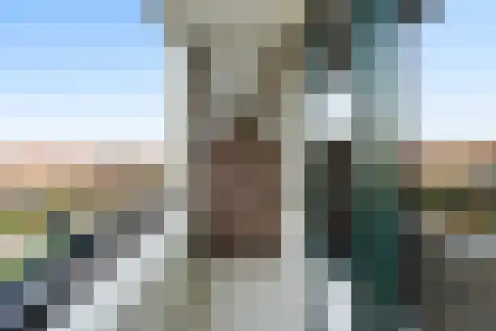 Kastanjesingel 98 C Rotterdam thumbnail 7