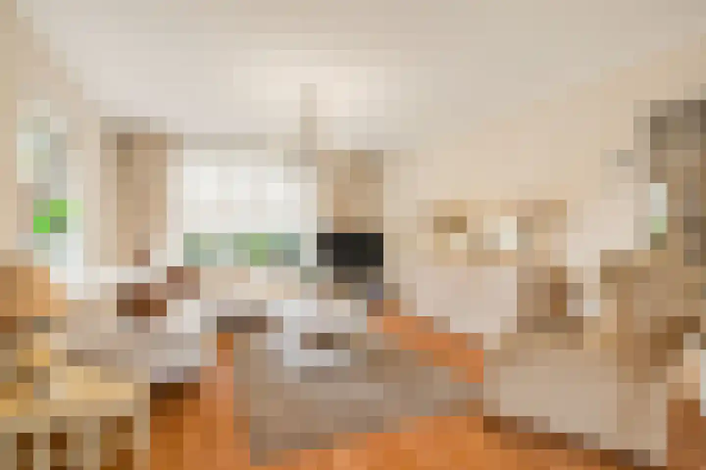 Kastanjesingel 98 C Rotterdam thumbnail 7