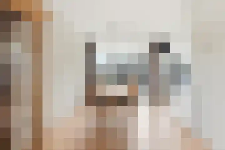 Kastanjesingel 98 C Rotterdam thumbnail 8