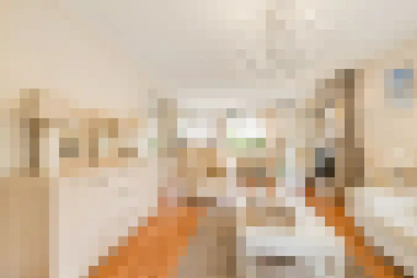 Kastanjesingel 98 C Rotterdam thumbnail 9