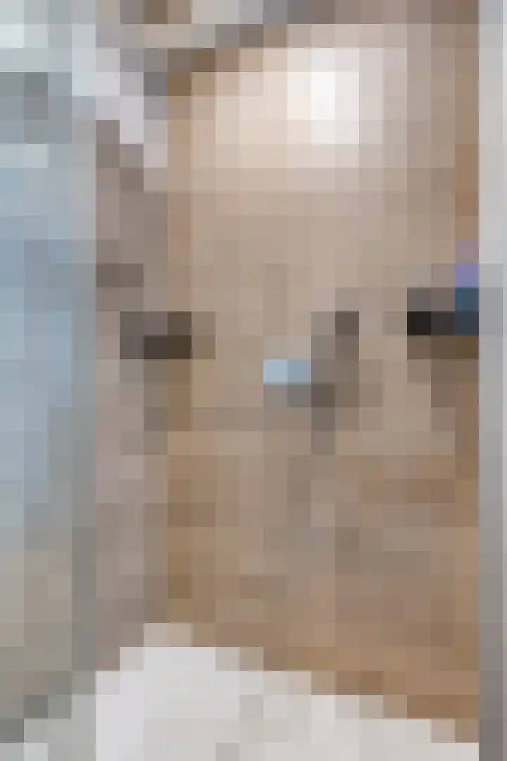 Kastanjestraat 1 Rockanje thumbnail 17