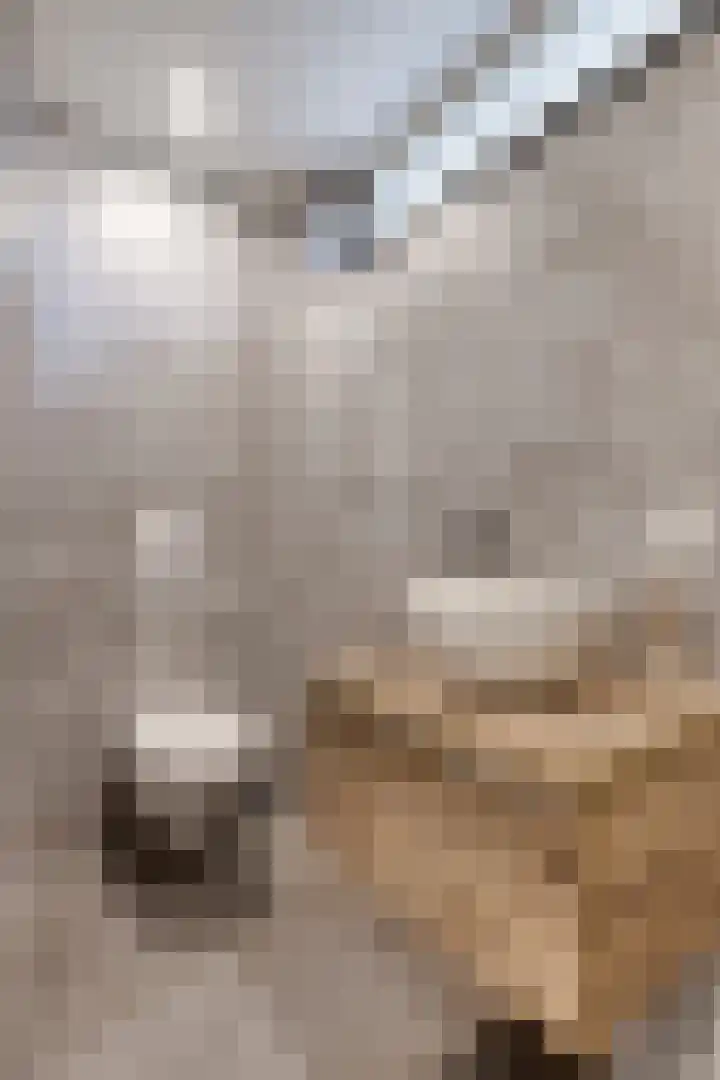 Kastanjestraat 1 Rockanje thumbnail 18