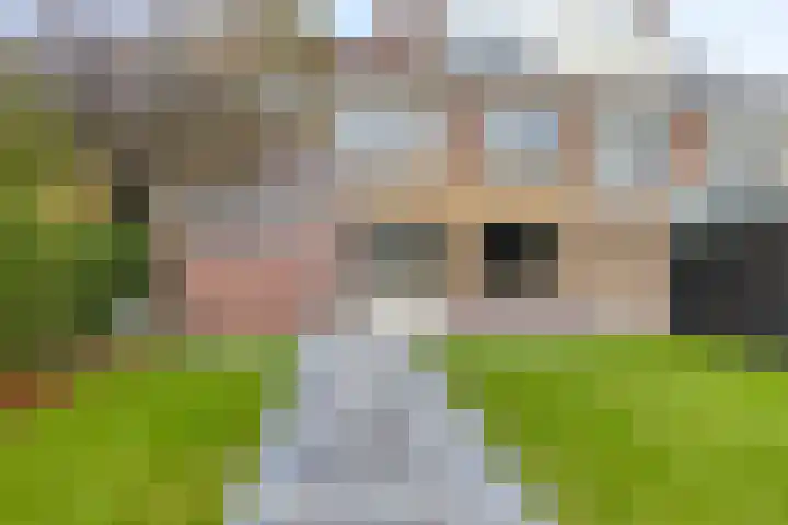 Kastanjestraat 1 Rockanje thumbnail 31