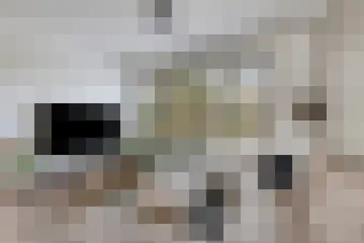 Kastanjestraat 1 Rockanje thumbnail 5