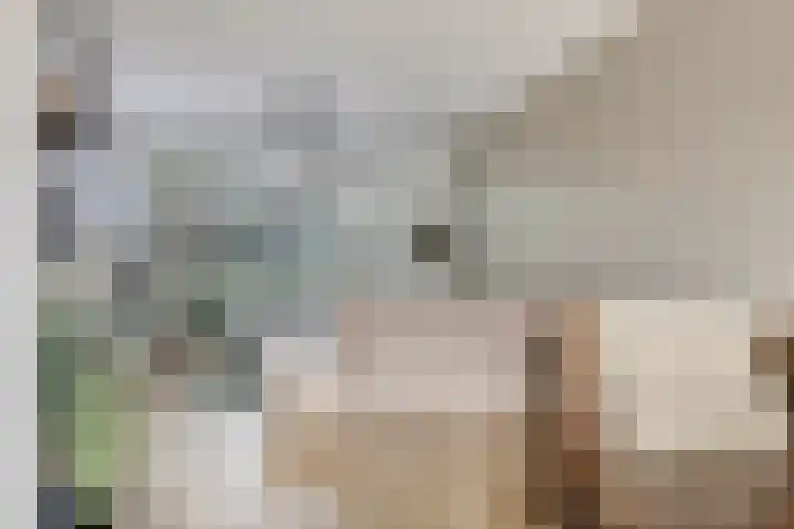 Kastanjestraat 1 Rockanje thumbnail 9