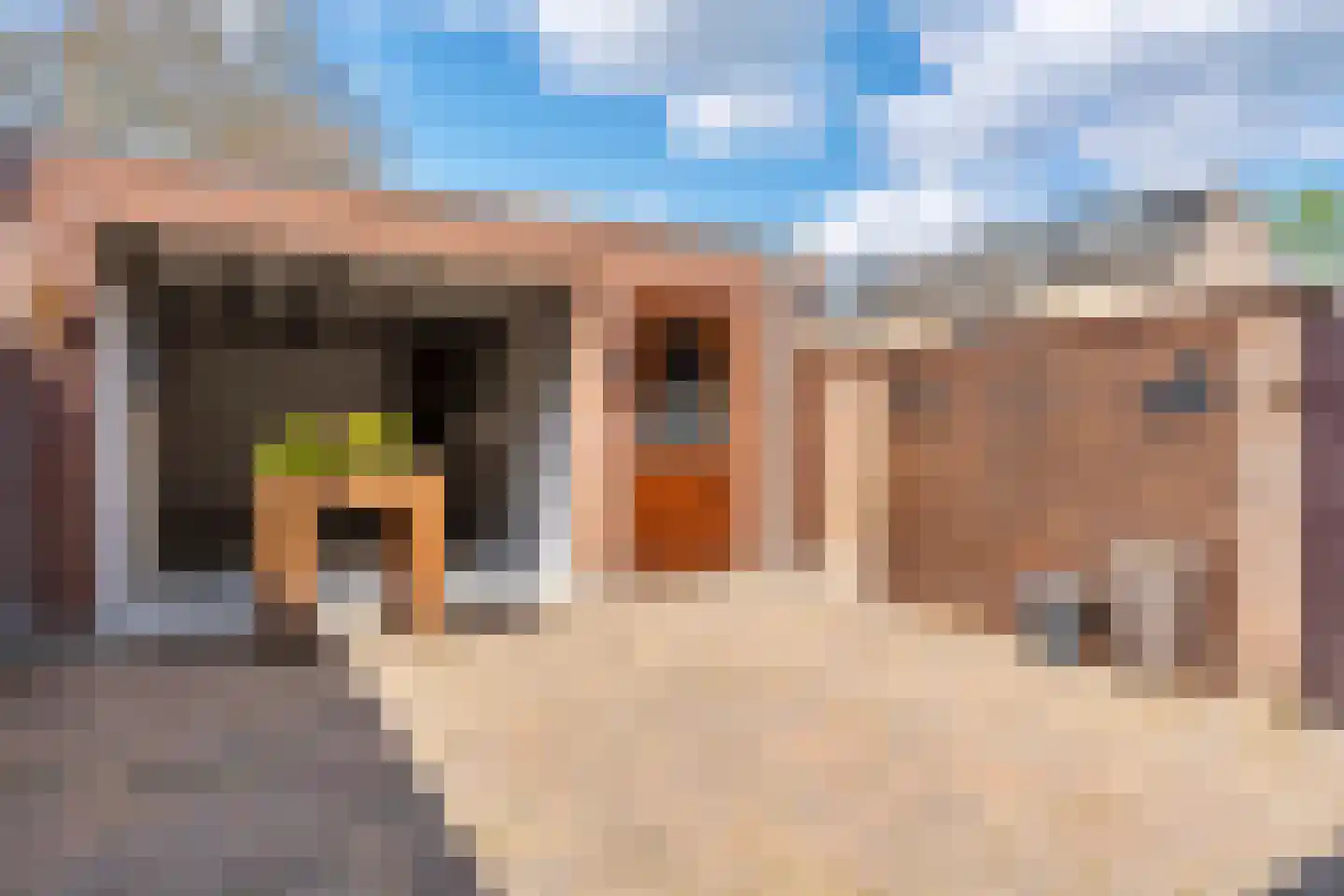 Kastanjestraat 10 Oisterwijk thumbnail 26