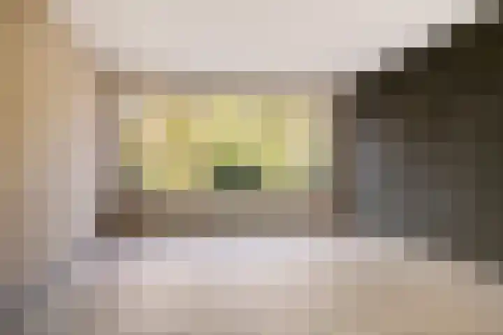 Kastanjestraat 11 Schijndel thumbnail 7
