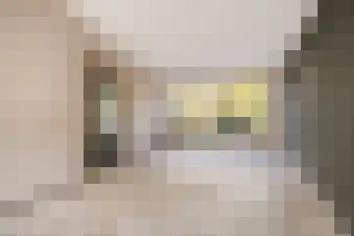 Kastanjestraat 11 Schijndel thumbnail 8
