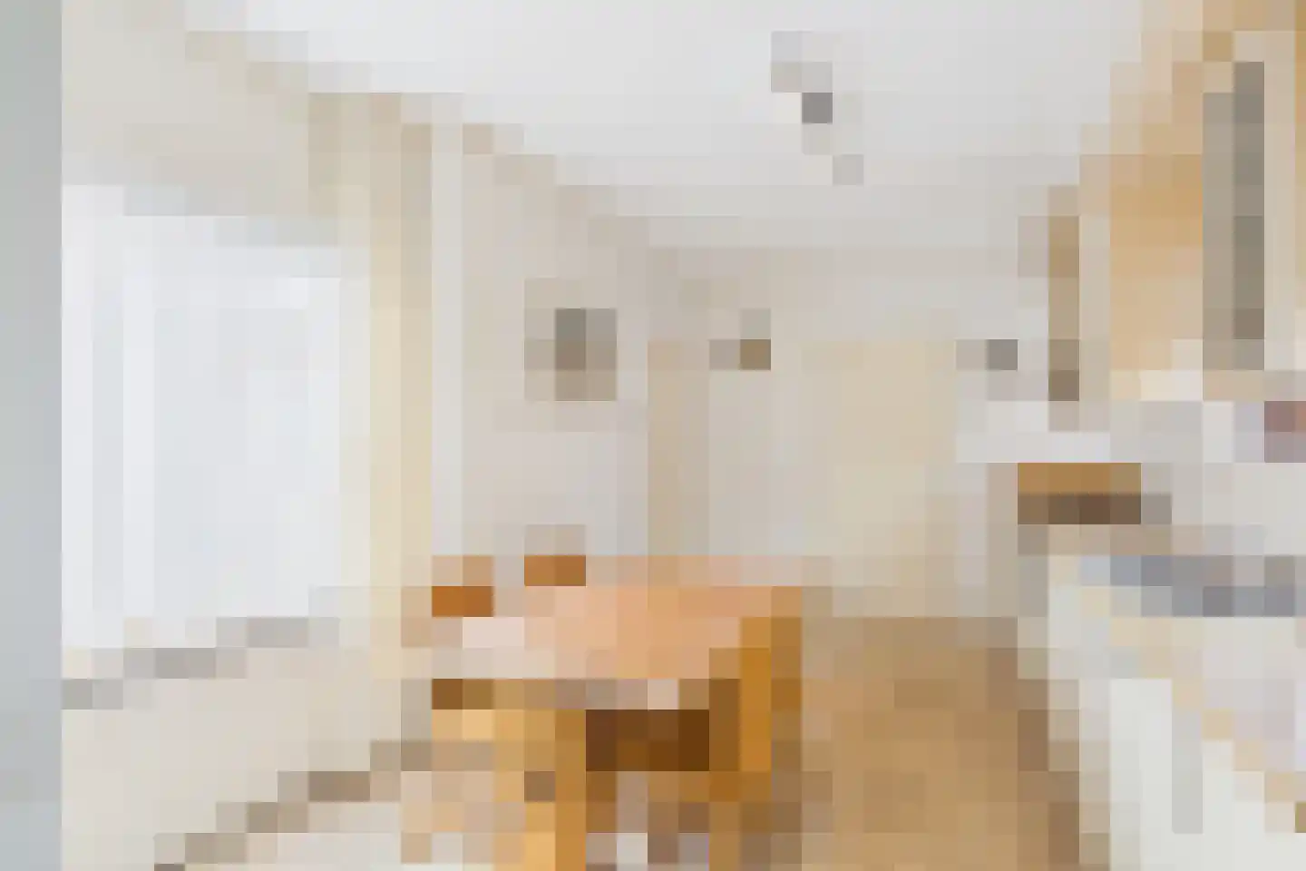 Kastanjestraat 12 Vogelwaarde thumbnail 10