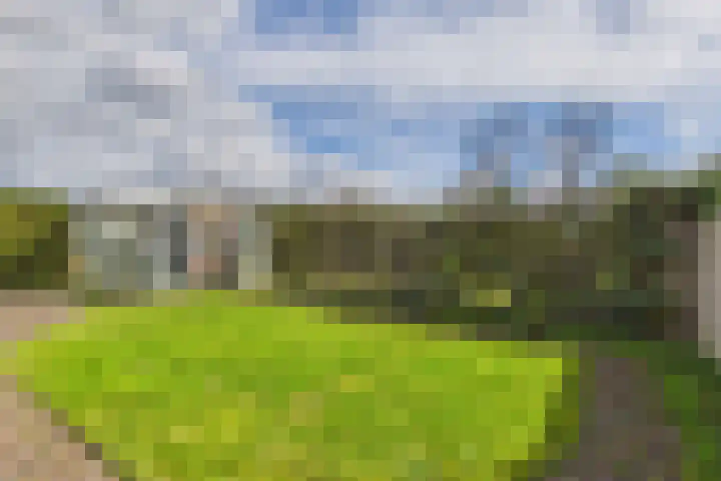 Kastanjestraat 12 Vogelwaarde thumbnail 22