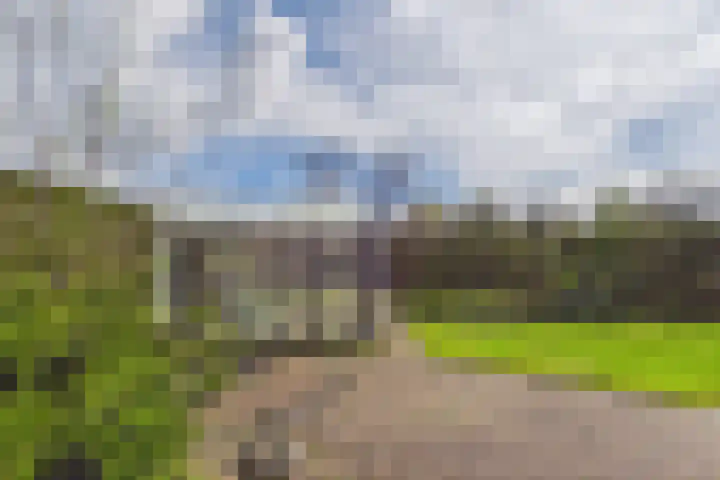 Kastanjestraat 12 Vogelwaarde thumbnail 23