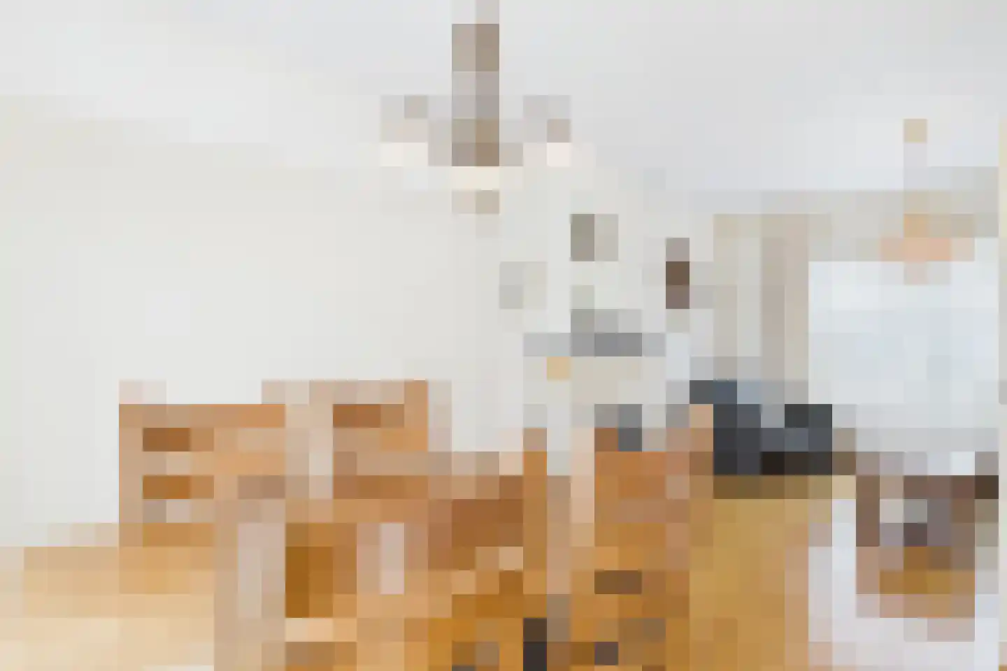 Kastanjestraat 12 Vogelwaarde thumbnail 7