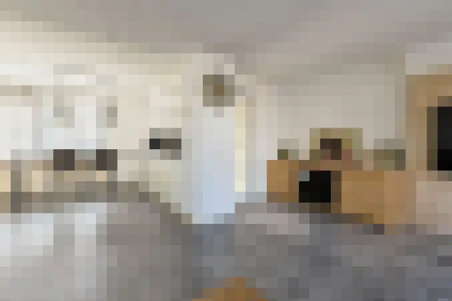 Kastanjestraat 13 Alphen aan den Rijn thumbnail 10