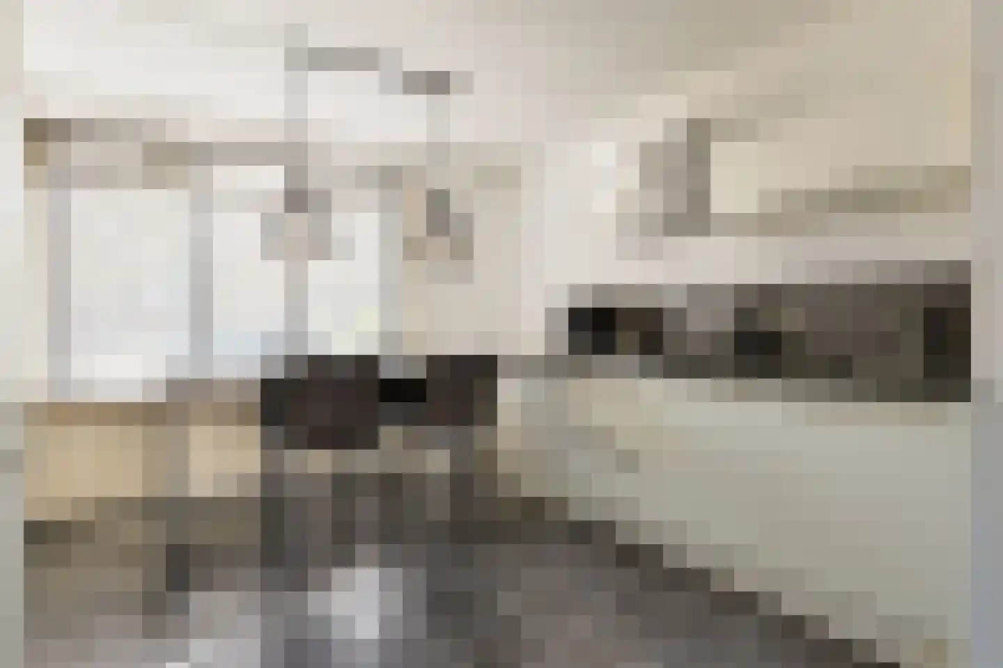 Kastanjestraat 13 Alphen aan den Rijn thumbnail 13