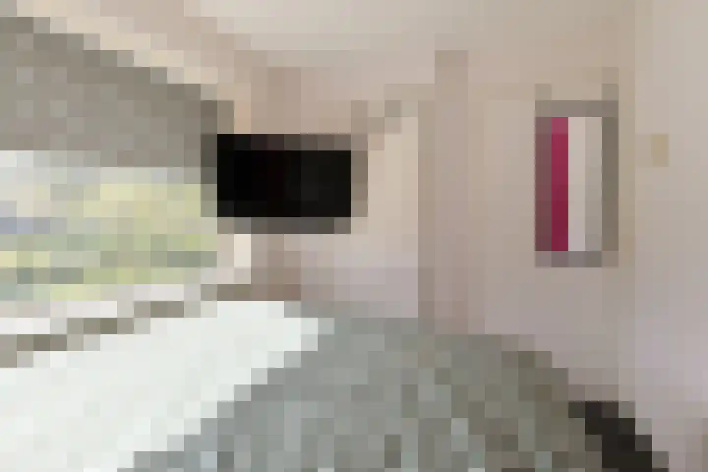 Kastanjestraat 13 Alphen aan den Rijn thumbnail 18