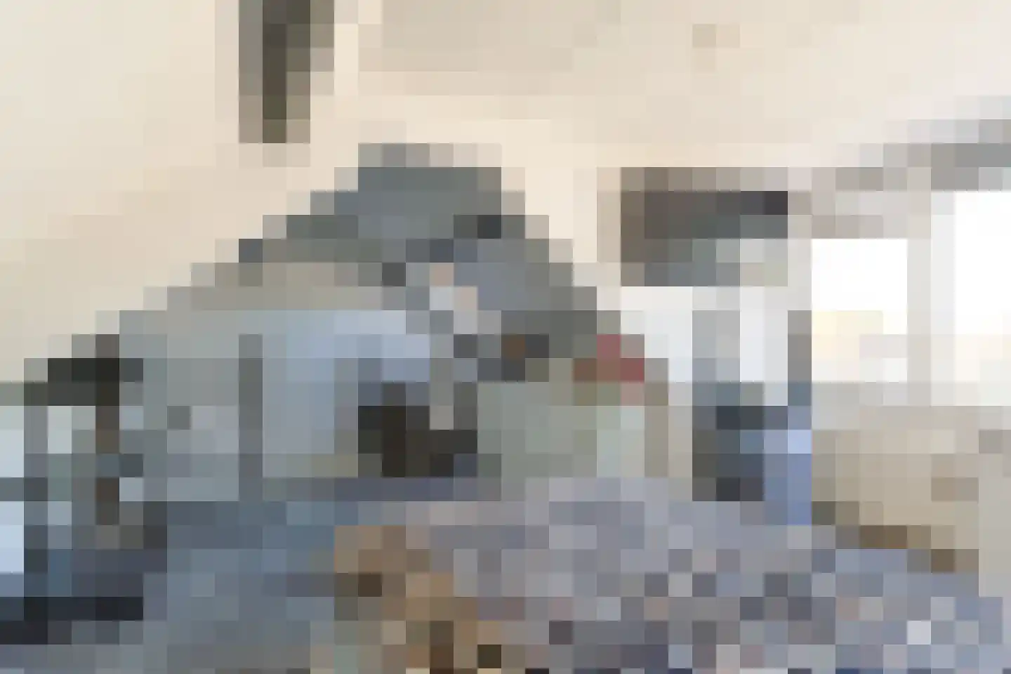 Kastanjestraat 13 Alphen aan den Rijn thumbnail 31