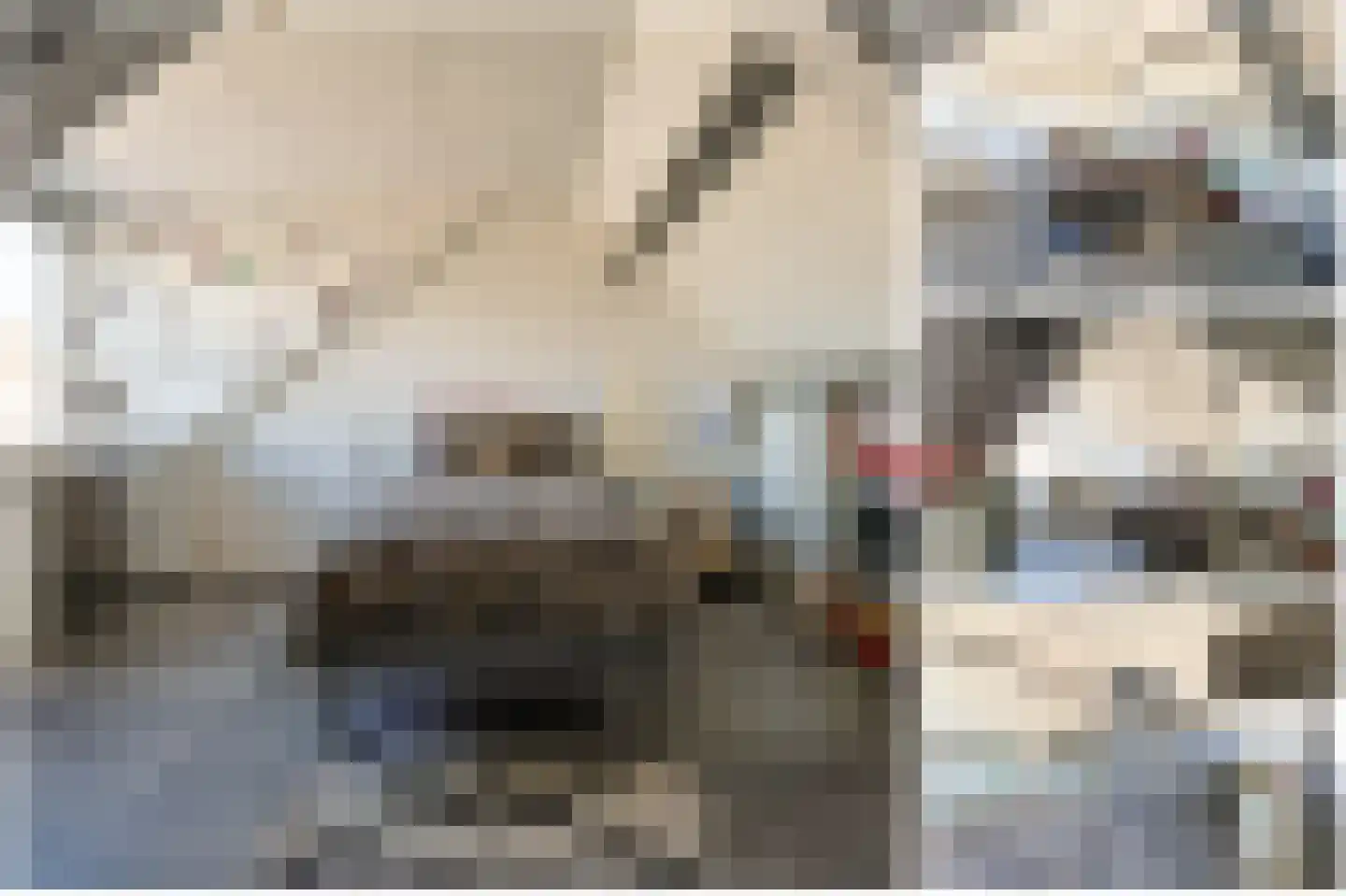Kastanjestraat 13 Alphen aan den Rijn thumbnail 32