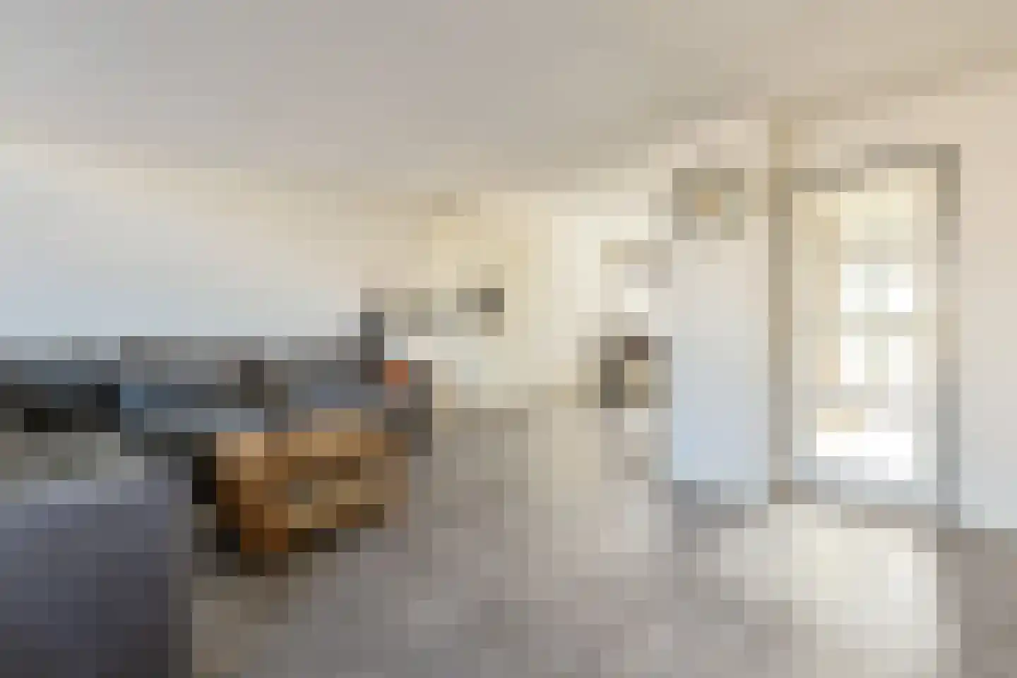 Kastanjestraat 13 Alphen aan den Rijn thumbnail 8