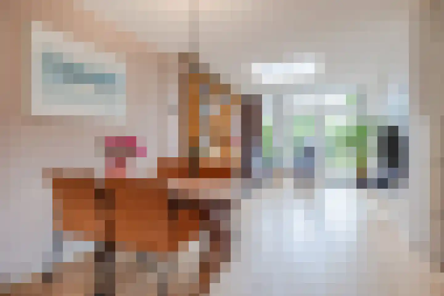 Kastanjestraat 14 Dongen thumbnail 9