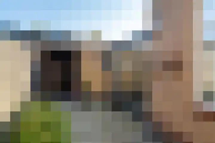 Kastanjestraat 17 Waalwijk thumbnail 5