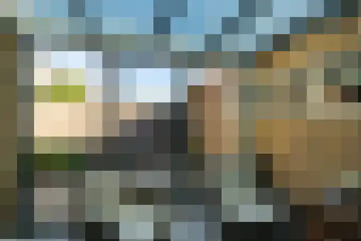 Kastanjestraat 17 Waalwijk thumbnail 7