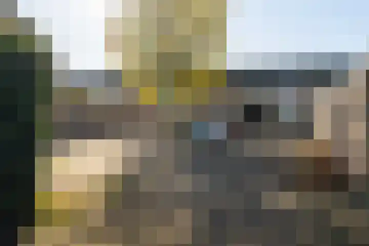 Kastanjestraat 17 Waalwijk thumbnail 8