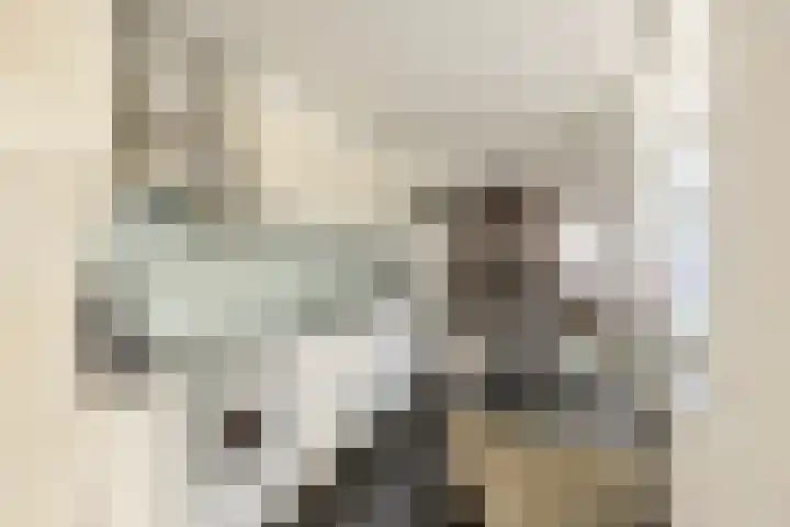 Kastanjestraat 18 Tilburg thumbnail 15