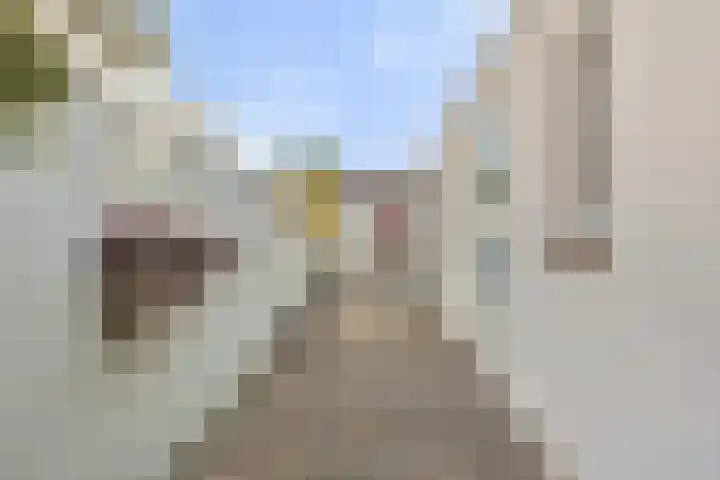 Kastanjestraat 18 Tilburg thumbnail 23